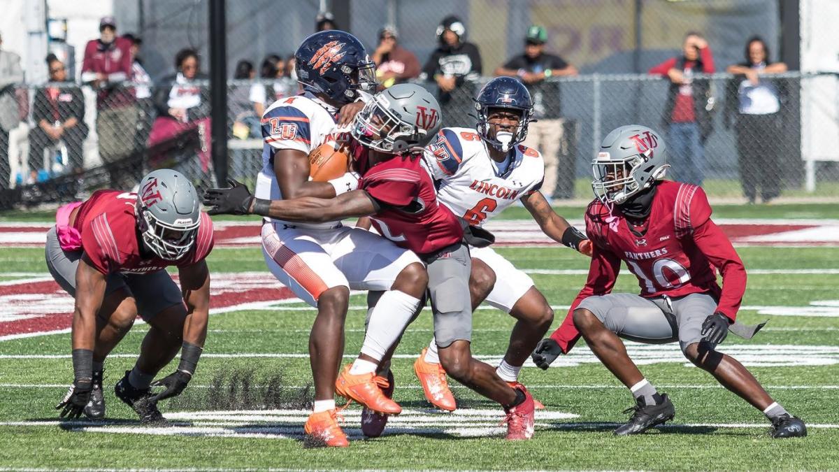VA UNION PANTHERS